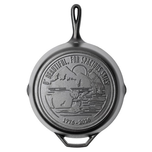 Lodge pre seasoned cast iron - pre-seasoned,