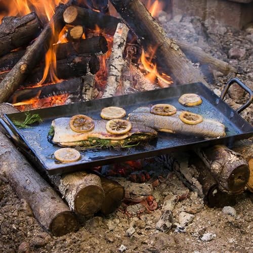 Lodge seasoned carbon steel - carbon,